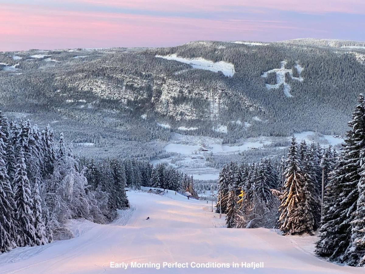 Hafjell Alpinlandsby Apt 88 Exteriör bild